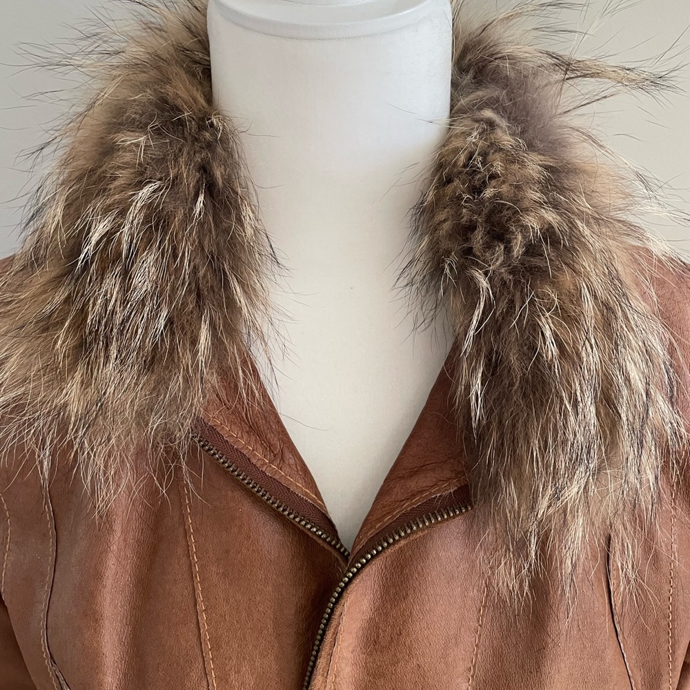 Jacket - Picture 3 of 6